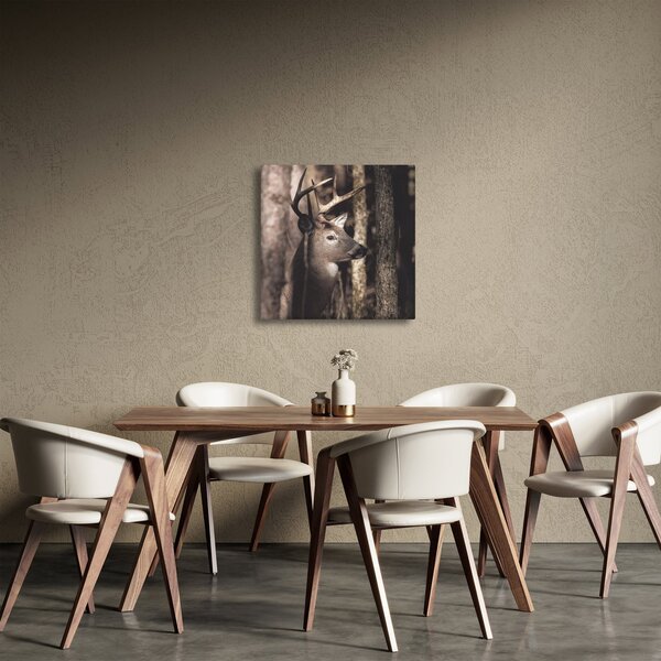 Obraz - Jelen v lese (30x30 cm)