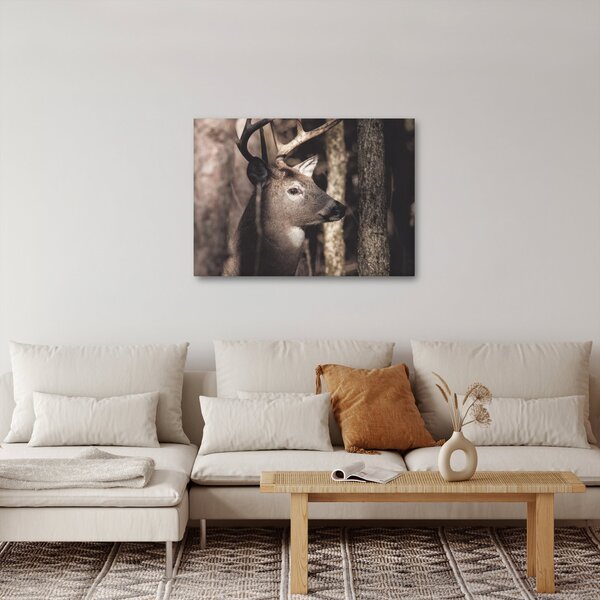 Obraz - Jelen v lese (70x50 cm)