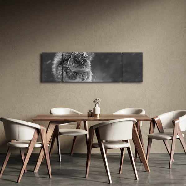 Obraz - Veverka v zimě (170x50 cm)