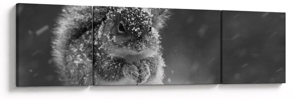 Obraz - Veverka v zimě (170x50 cm)