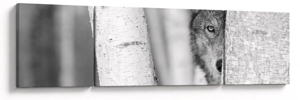 Obraz - Vlk v lese (170x50 cm)