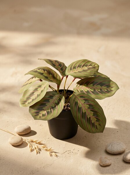 Sinsay - Dekorativní umělá rostlina - vícebarevná