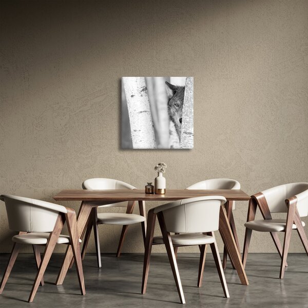Obraz - Vlk v lese (30x30 cm)