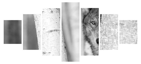 Obraz - Vlk v lese (210x100 cm)