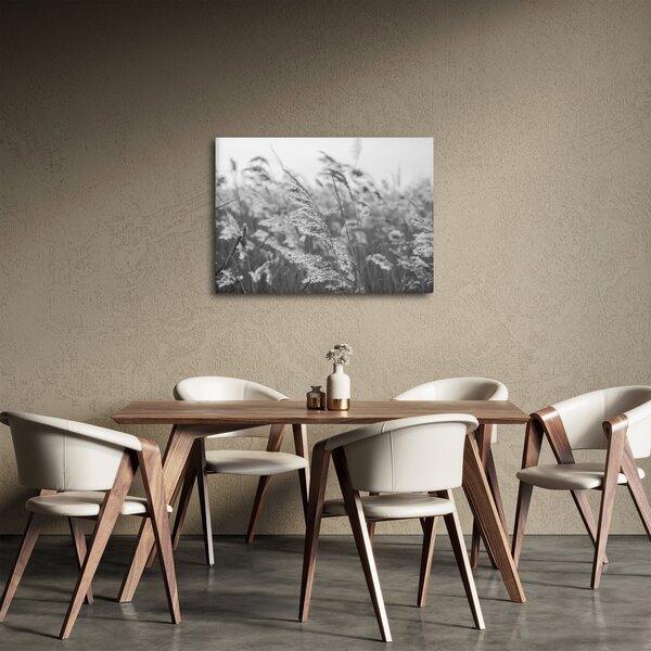 Obraz - Tráva ve větru (70x50 cm)