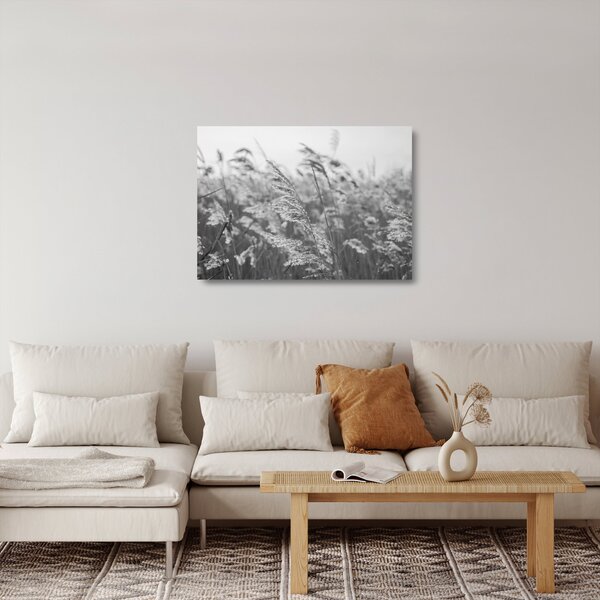Skleněný obraz - Tráva ve větru (70x50 cm)