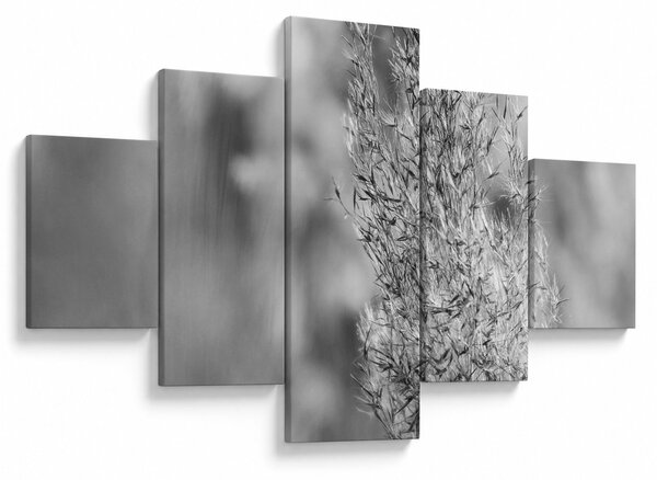 Obraz - Boho pampas grass (125x70 cm)
