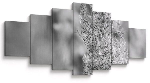 Obraz - Boho pampas grass (210x100 cm)