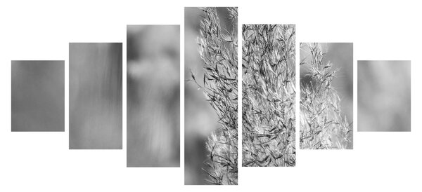 Obraz - Boho pampas grass (210x100 cm)