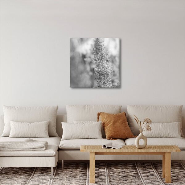 Obraz - Boho pampas grass (30x30 cm)