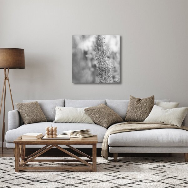 Obraz - Boho pampas grass (30x30 cm)