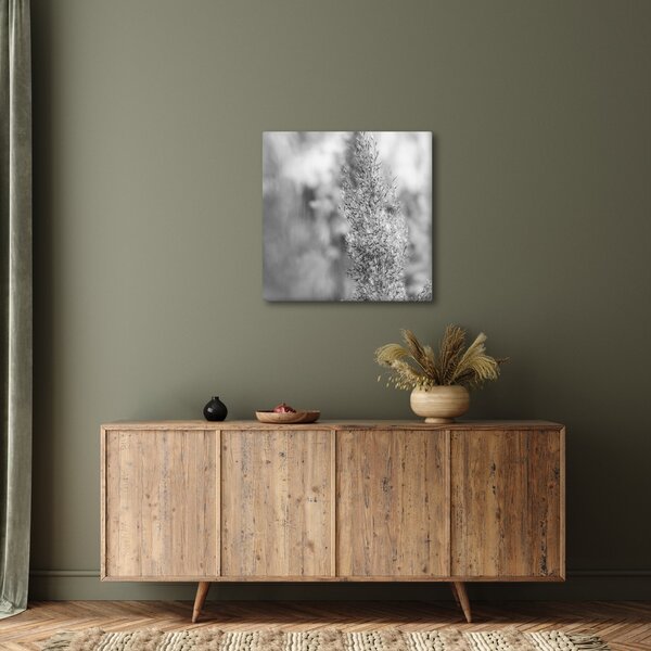 Obraz - Boho pampas grass (30x30 cm)