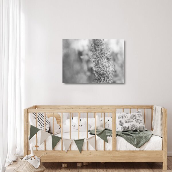Skleněný obraz - Boho pampas grass (70x50 cm)