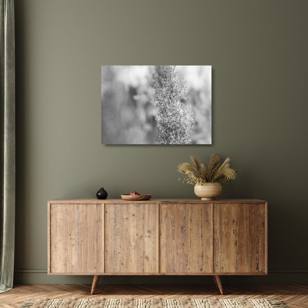 Skleněný obraz - Boho pampas grass (70x50 cm)
