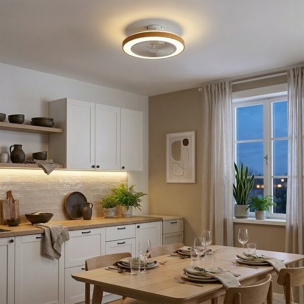 Brilagi - LED Stmívatelný stropní ventilátor LED/38W/230V 50 cm bílá/hnědá + DO