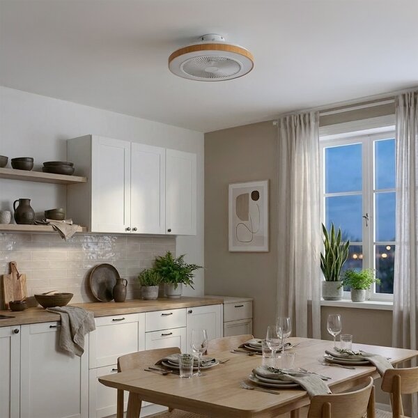 Brilagi - LED Stmívatelný stropní ventilátor LED/38W/230V 50 cm bílá/hnědá + DO