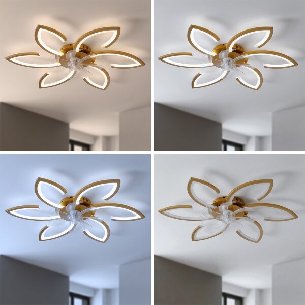 Brilagi - LED Stmívatelný stropní ventilátor LED/34W/230V pr. 78 cm zlatá + DO