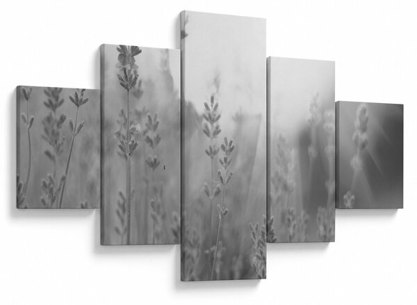 Obraz - Levandule (125x70 cm)