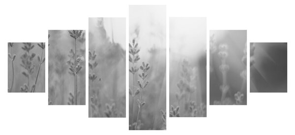 Obraz - Levandule (210x100 cm)
