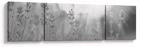 Obraz - Levandule (170x50 cm)