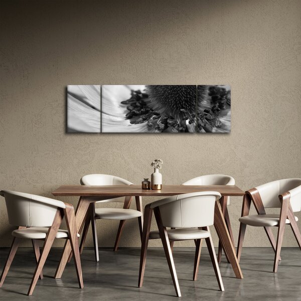 Obraz - Květina v černobílé (170x50 cm)