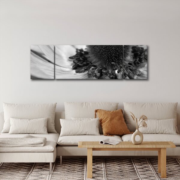 Obraz - Květina v černobílé (170x50 cm)