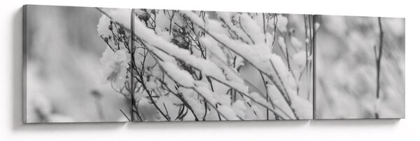 Obraz - Zasněžené větve (170x50 cm)