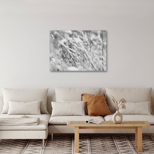 Obraz - Zasněžené větve (70x50 cm)