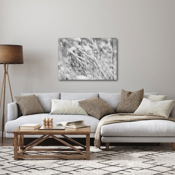 Obraz - Zasněžené větve (70x50 cm)