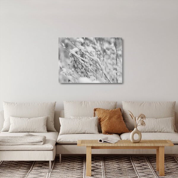 Skleněný obraz - Zasněžené větve (70x50 cm)
