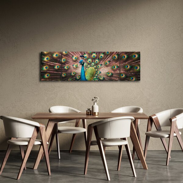 Obraz - Páv (170x50 cm)