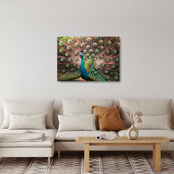 Skleněný obraz - Páv (70x50 cm)