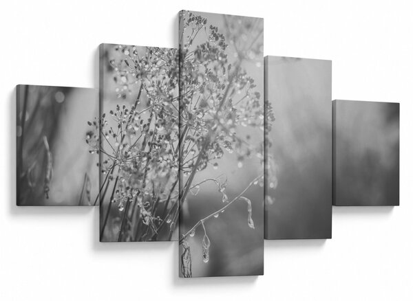 Obraz - Louka po dešti (125x70 cm)