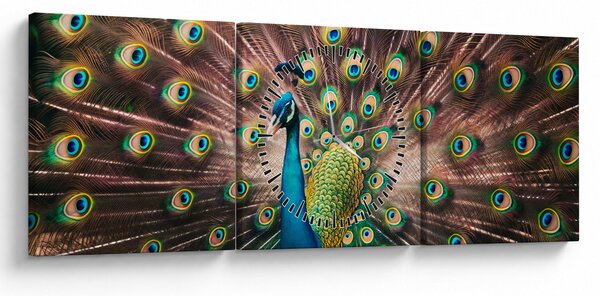 Obraz - Páv (s hodinami) (90x30 cm)