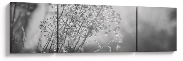 Obraz - Louka po dešti (170x50 cm)