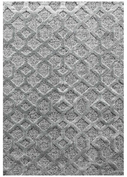 Breno Kusový koberec PISA 4702 Grey, Šedá, 240 x 340 cm