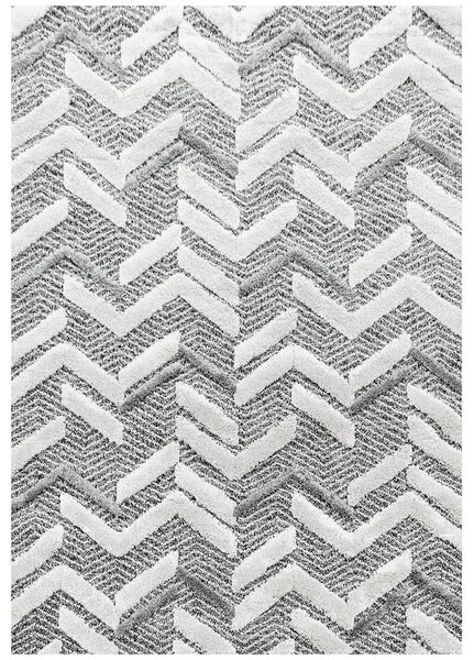 Breno Kusový koberec PISA 4705 Grey, Šedá, Vícebarevné, 200 x 290 cm