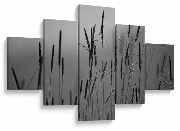 Obraz - Stébla trávy (125x70 cm)