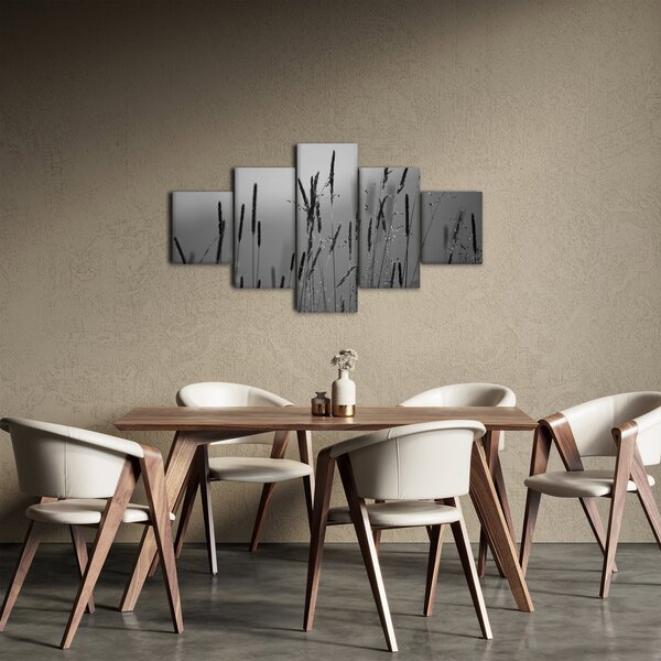 Obraz - Stébla trávy (125x70 cm)