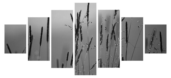 Obraz - Stébla trávy (210x100 cm)