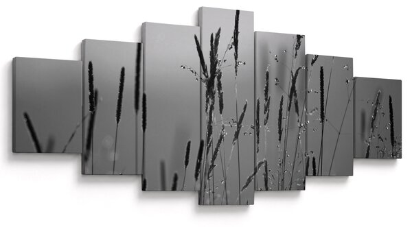 Obraz - Stébla trávy (210x100 cm)