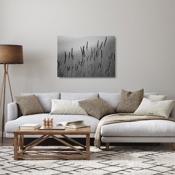 Skleněný obraz - Stébla trávy (70x50 cm)