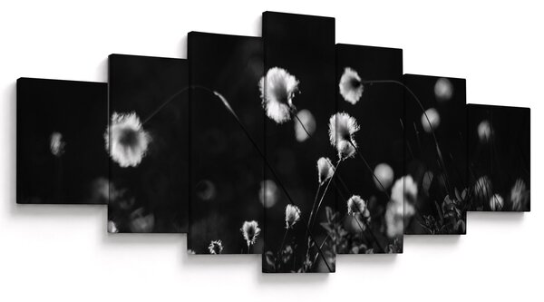 Obraz - Louka s cottongrass N⁰1 (210x100 cm)