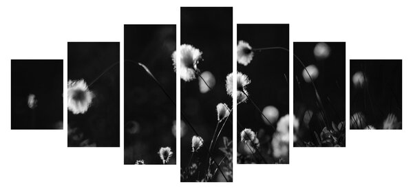 Obraz - Louka s cottongrass N⁰1 (210x100 cm)