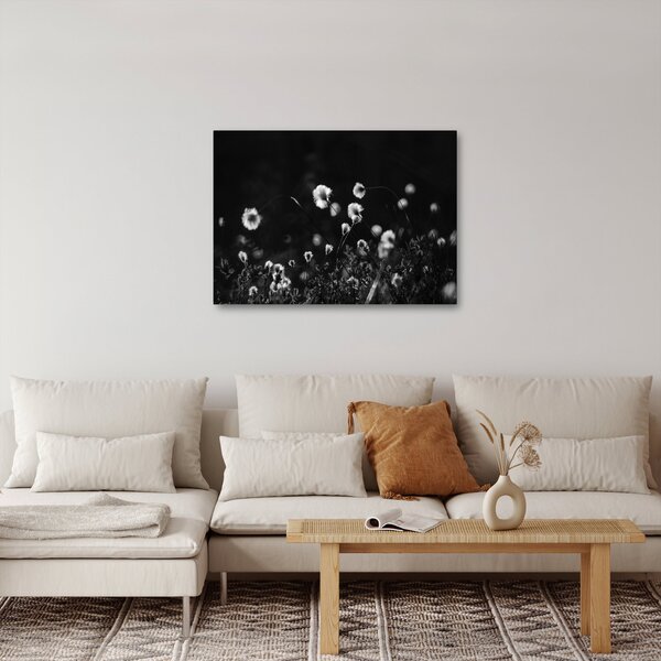 Obraz - Louka s cottongrass N⁰1 (70x50 cm)