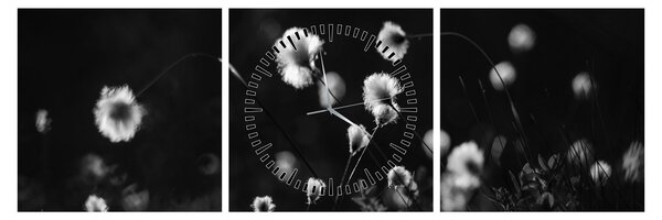 Obraz - Louka s cottongrass N⁰1 (s hodinami) (90x30 cm)