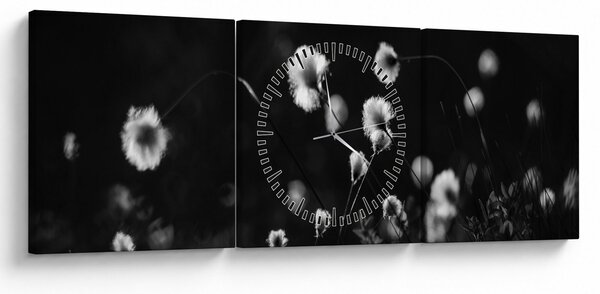 Obraz - Louka s cottongrass N⁰1 (s hodinami) (90x30 cm)