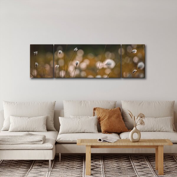 Obraz - Louka s cottongrass N⁰2 (170x50 cm)