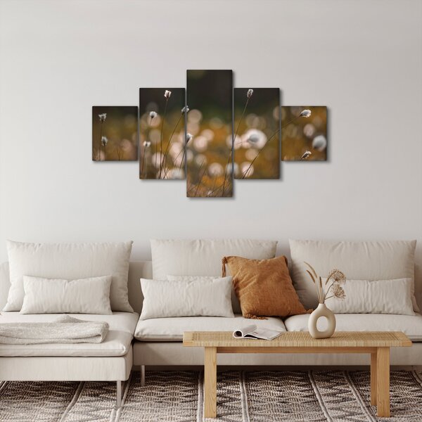 Obraz - Louka s cottongrass N⁰2 (125x70 cm)
