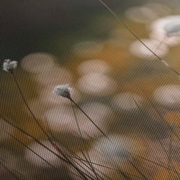Obraz - Louka s cottongrass N⁰2 (125x70 cm)
